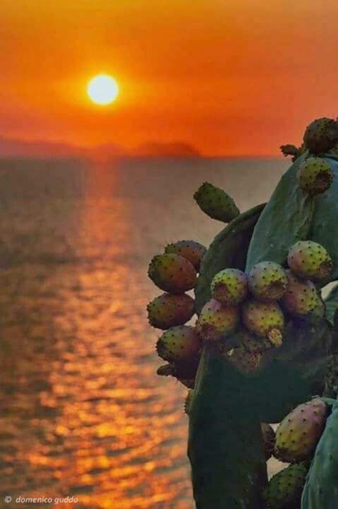 A Pozzallo Vicino Al Mare Villa Exterior foto